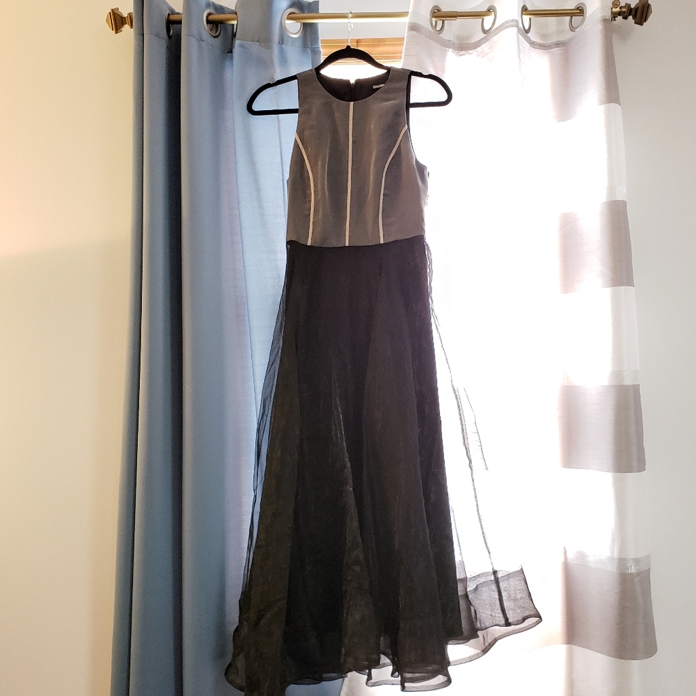 Gianni Bini Organza dress